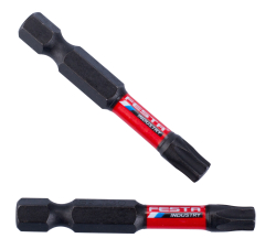 Torzn� bit torx T30 50mm S2 2ks